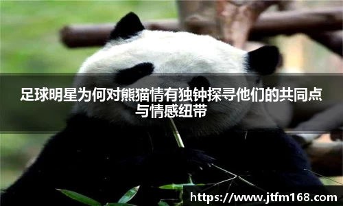 足球明星为何对熊猫情有独钟探寻他们的共同点与情感纽带